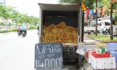  Hà Nội mở kênh phân phối vải thiều lưu động